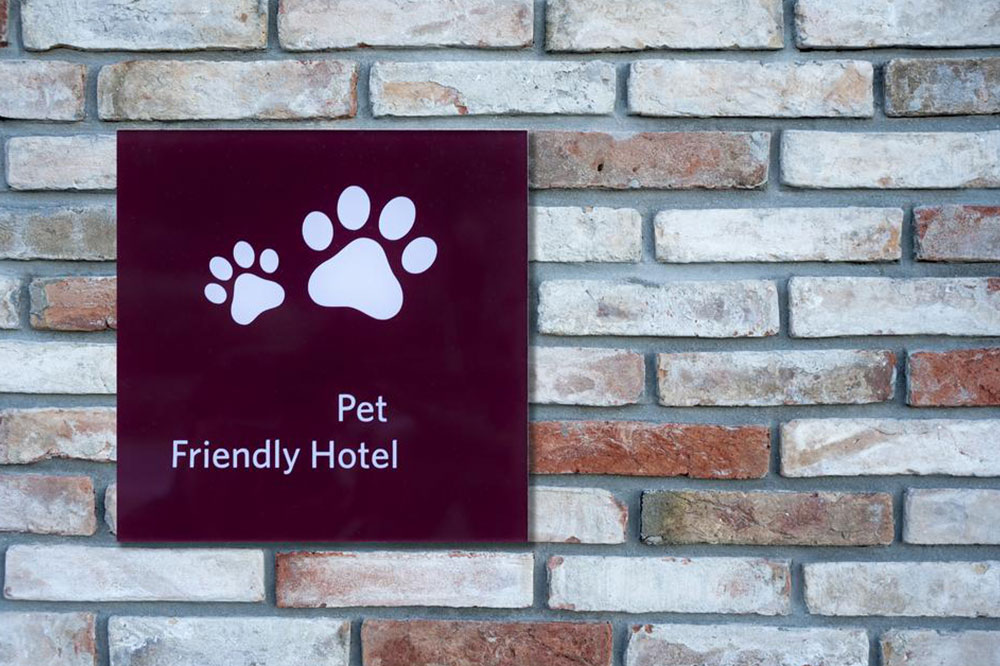 5 Tips to Choose the Right Pet-Friendly Hotel