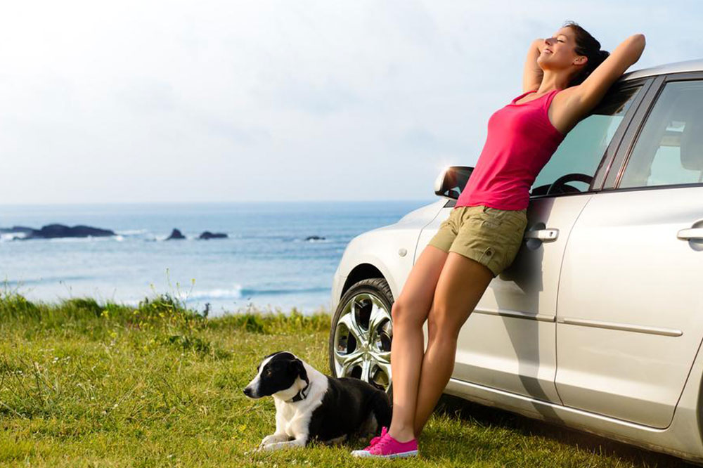 A Pet-friendly Travel Guide for Your Next Vacation