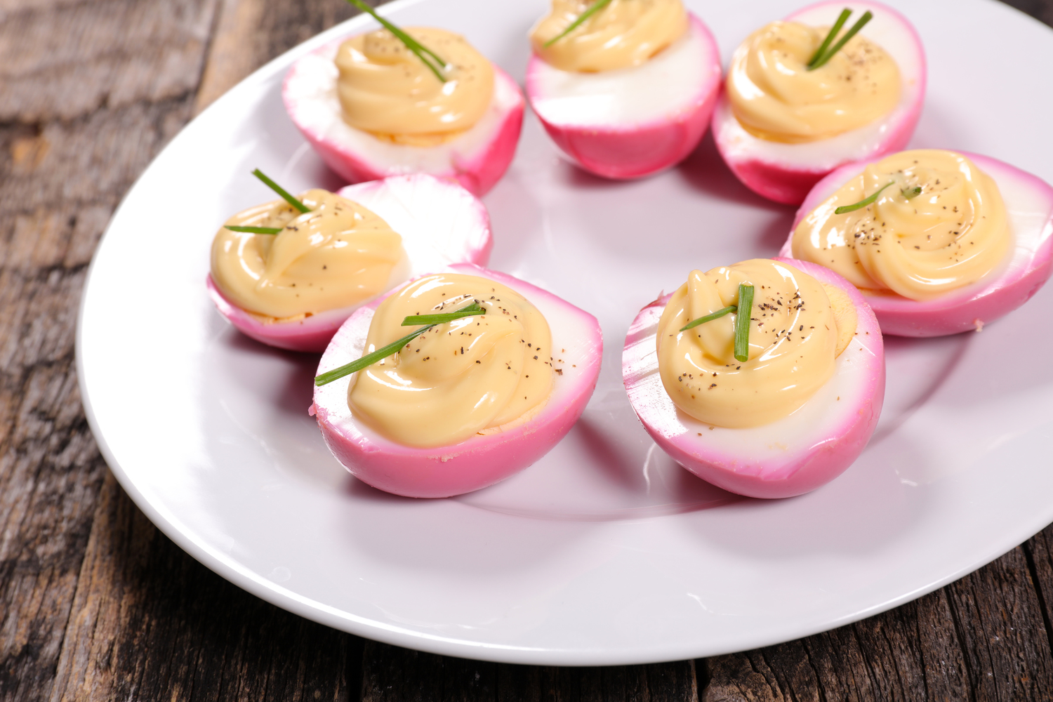 5 Human Foods That are Safe to Feed Cats